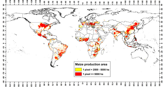 MAIZE photo