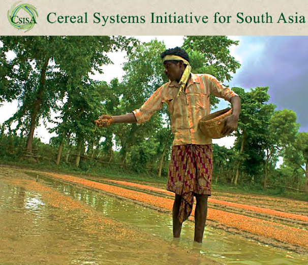 CSISA: Making a Difference in South Asia – ARCHIVE maize.org