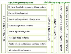 Image credit: CGIAR