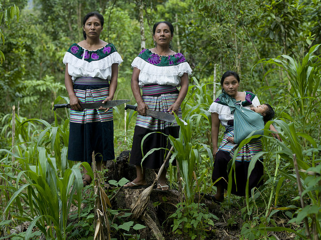 Women representing four generations from a maize farming family in Chiapas, Mexico. CIMMYT/ Peter Lowe
